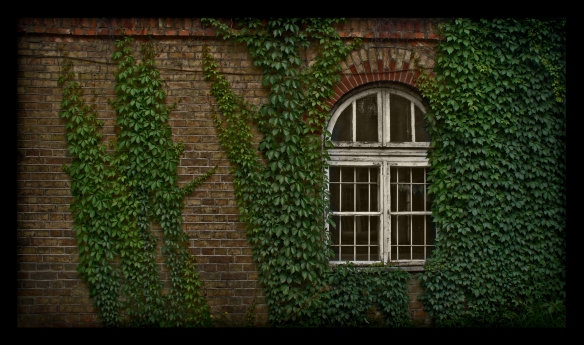 Ivy-covered red-brick wll with arched window; photo taken by ~O-r-c-h-i-d-e-a, published on deviantart. Used without permission. 